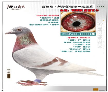 臺灣洪慶福作育 ”葛斯頓.范德瓦爾“