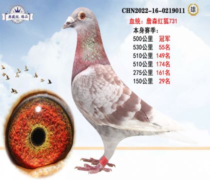 詹森紅狐731 本身賽季500公里冠軍