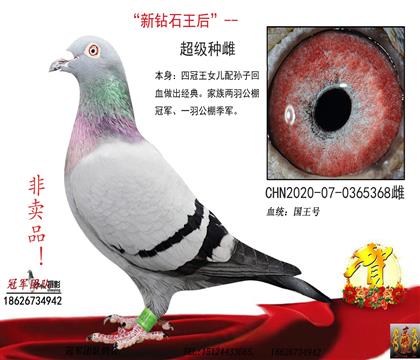 母亲一四冠王回血外孙女