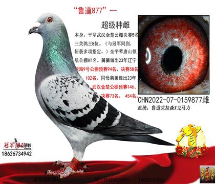 母亲一经典鲁道