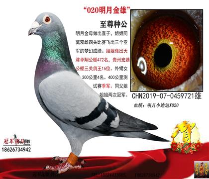 父亲一明月020雄