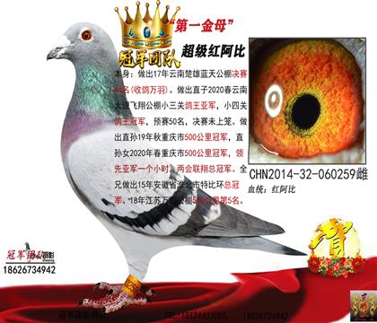 外祖母一本舍第一种雌