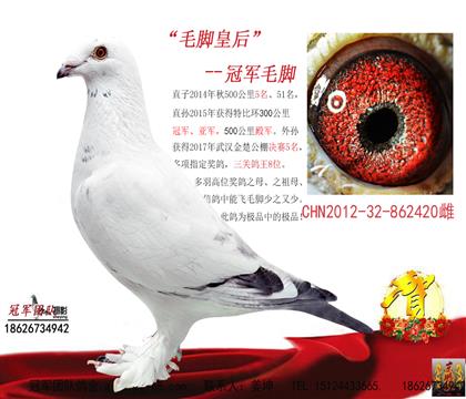 母亲一毛脚皇后