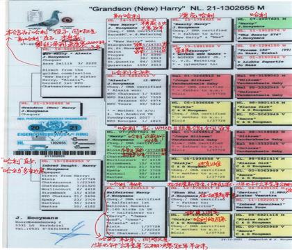 父親血統(tǒng)書