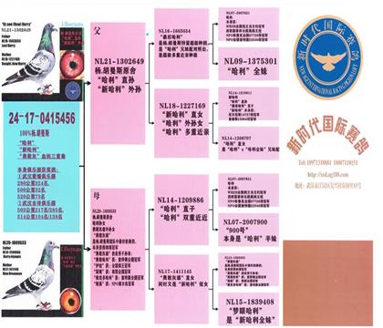 母親血統(tǒng)書