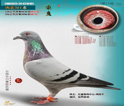 東川豪庭決賽301名