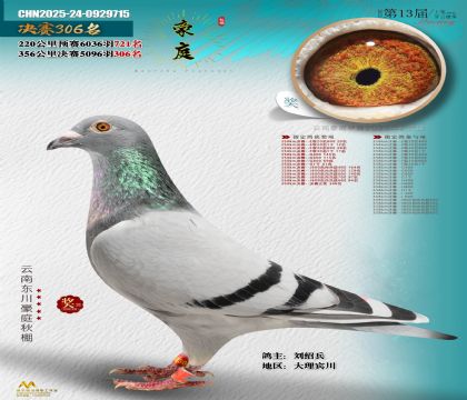 東川豪庭決賽306名