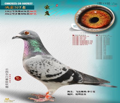 東川豪庭決賽307名