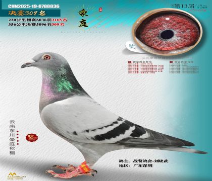 東川豪庭決賽309名