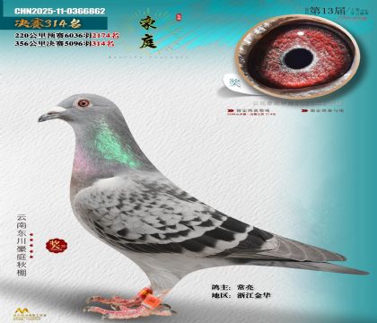 東川豪庭決賽314名