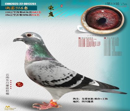 東川豪庭決賽316名