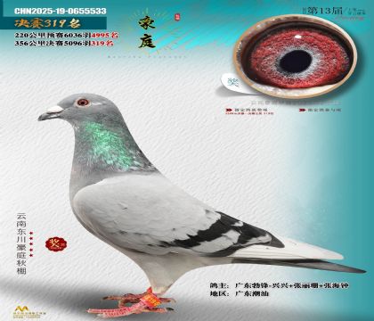 東川豪庭決賽319名