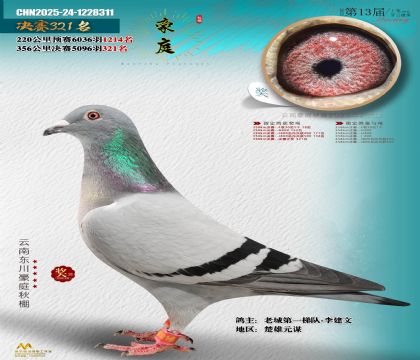 東川豪庭決賽321名