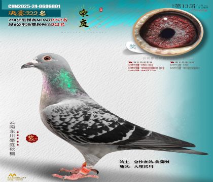 東川豪庭決賽322名