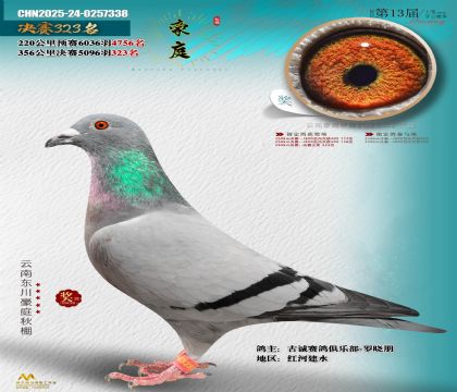 東川豪庭決賽323名