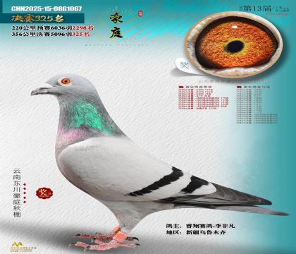 東川豪庭決賽325名