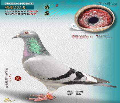 東川豪庭決賽333名