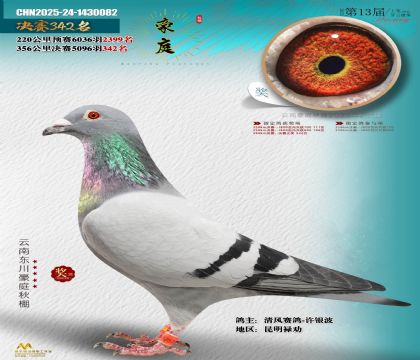 東川豪庭決賽342名