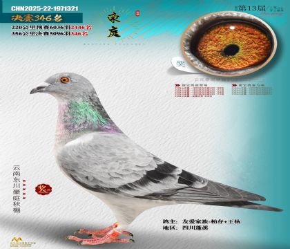 東川豪庭決賽346名