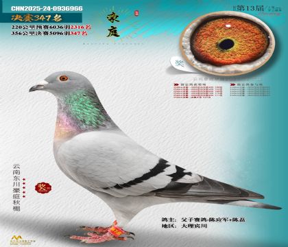 東川豪庭決賽347名