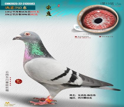 東川豪庭決賽352名