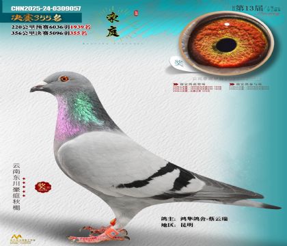 東川豪庭決賽355名