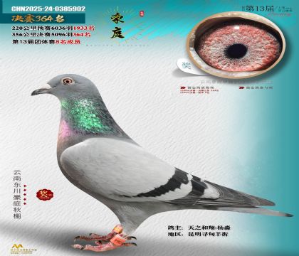 東川豪庭決賽364名