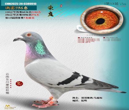 東川豪庭決賽376名