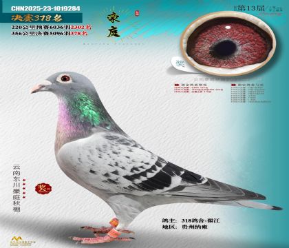 東川豪庭決賽378名