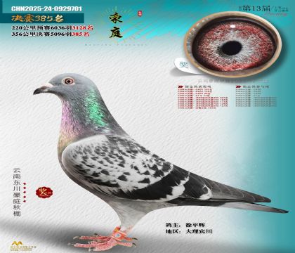 東川豪庭決賽385名