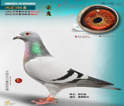 東川豪庭決賽386名