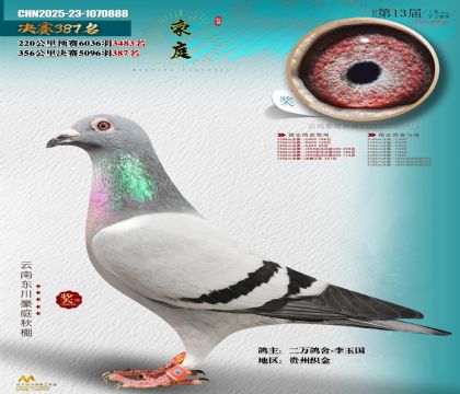 東川豪庭決賽387名