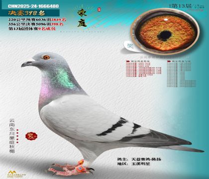 東川豪庭決賽398名