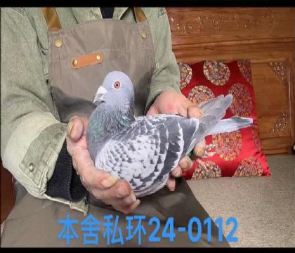 ˽h(hun)ȷ𵤴0112̖