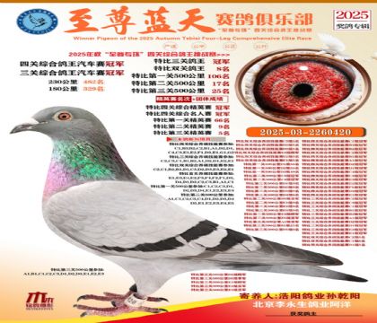特比三關(guān)鴿王冠軍
