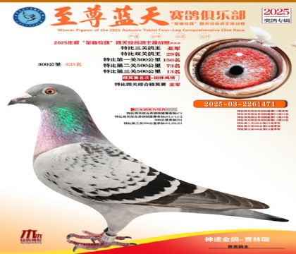 特比三關(guān)鴿王亞軍