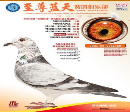 特比三關(guān)鴿王5名