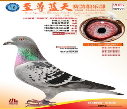 特比三關(guān)鴿王季軍