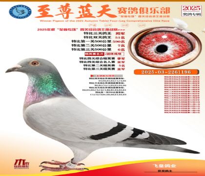 特比三關(guān)鴿王4名