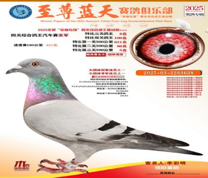 特比三關(guān)鴿王8名