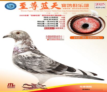 特比三關(guān)鴿王6名