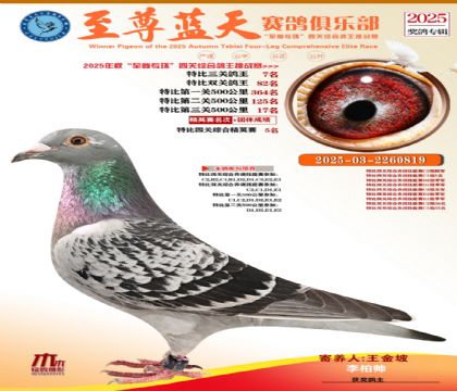 特比三關(guān)鴿王7名