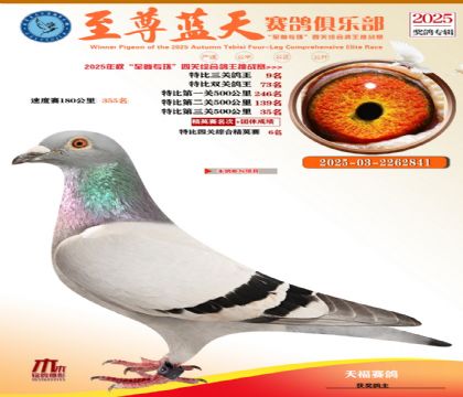 特比三關(guān)鴿王9名