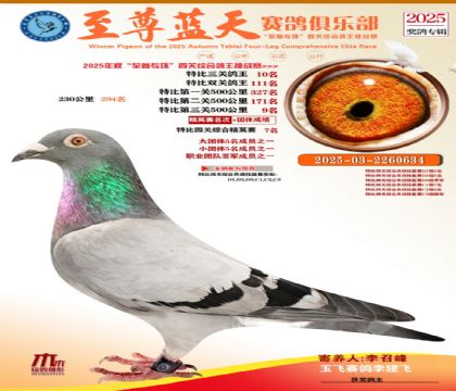 特比三關(guān)鴿王10名