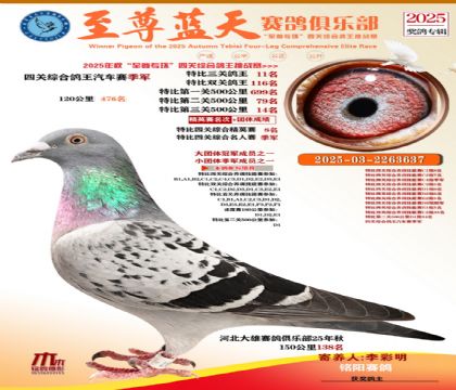 特比三關(guān)鴿王11名