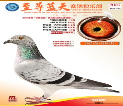 特比三關(guān)鴿王13名
