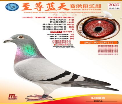 特比三關(guān)鴿王14名