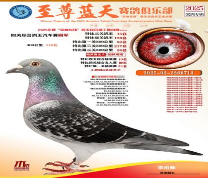 特比三關(guān)鴿王15名