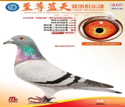 特比三關(guān)鴿王12名