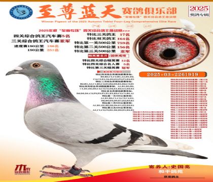 特比三關(guān)鴿王17名